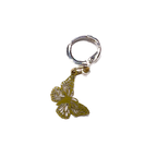 _2022_11_IMG_0829_1.png